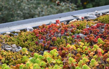 the cost of Coverack green roof installation